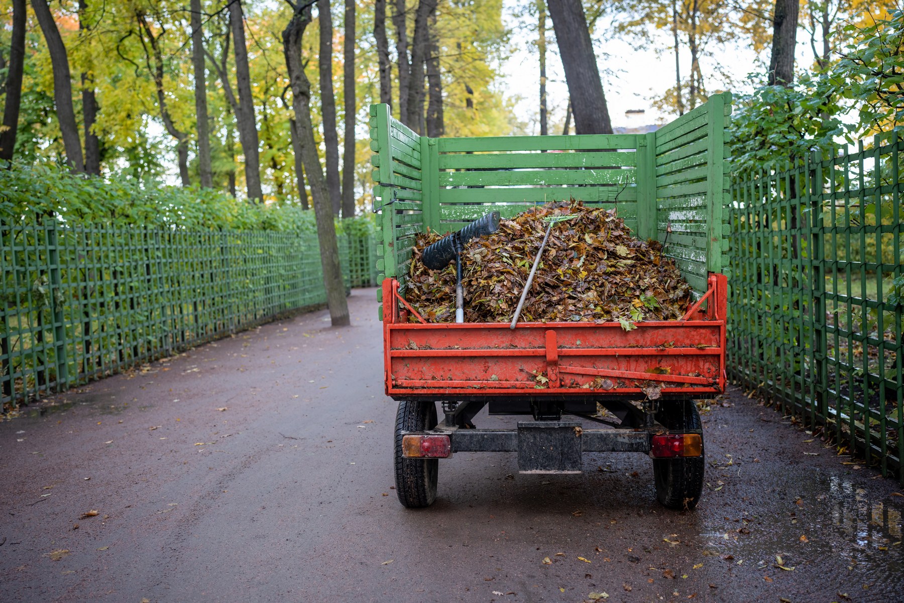 Dumpster Rental for Fall Home Cleanups in Greenville, SC