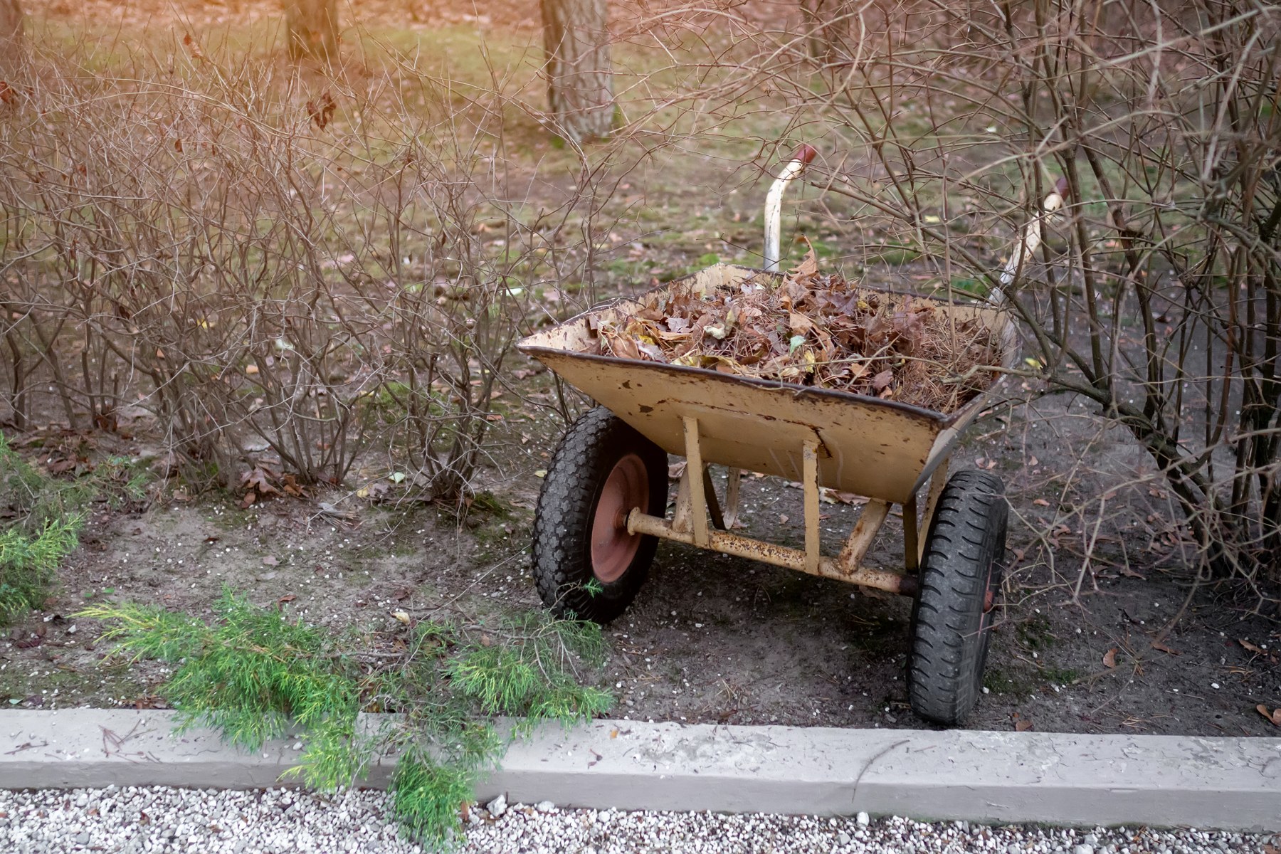 How to Rent a Dumpster for a Seasonal Cleanup in Greenville